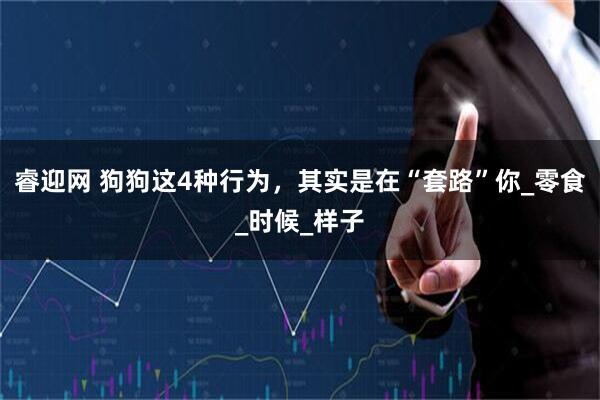睿迎网 狗狗这4种行为，其实是在“套路”你_零食_时候_样子