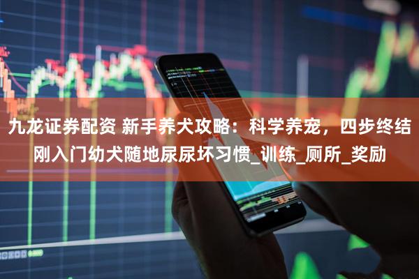九龙证券配资 新手养犬攻略：科学养宠，四步终结刚入门幼犬随地尿尿坏习惯_训练_厕所_奖励