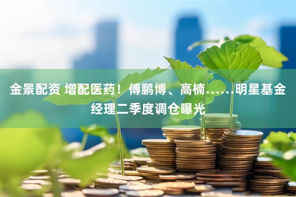 金景配资 增配医药！傅鹏博、高楠……明星基金经理二季度调仓曝光