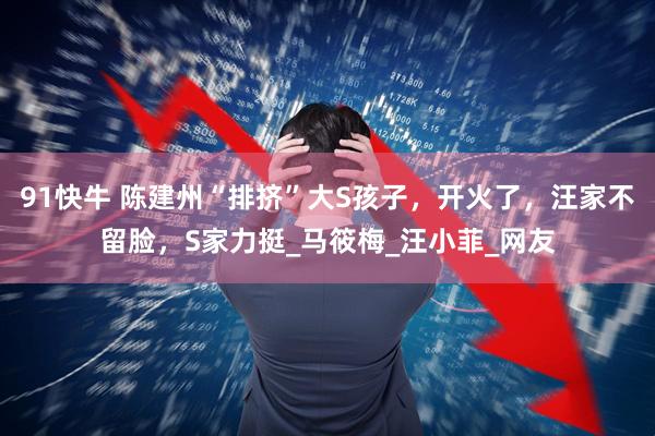 91快牛 陈建州“排挤”大S孩子，开火了，汪家不留脸，S家力挺_马筱梅_汪小菲_网友