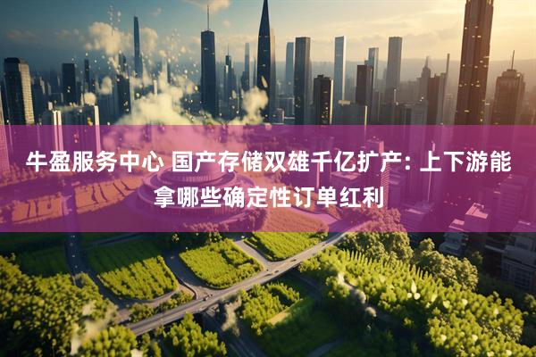 牛盈服务中心 国产存储双雄千亿扩产: 上下游能拿哪些确定性订单红利