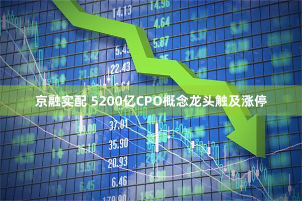 京融实配 5200亿CPO概念龙头触及涨停